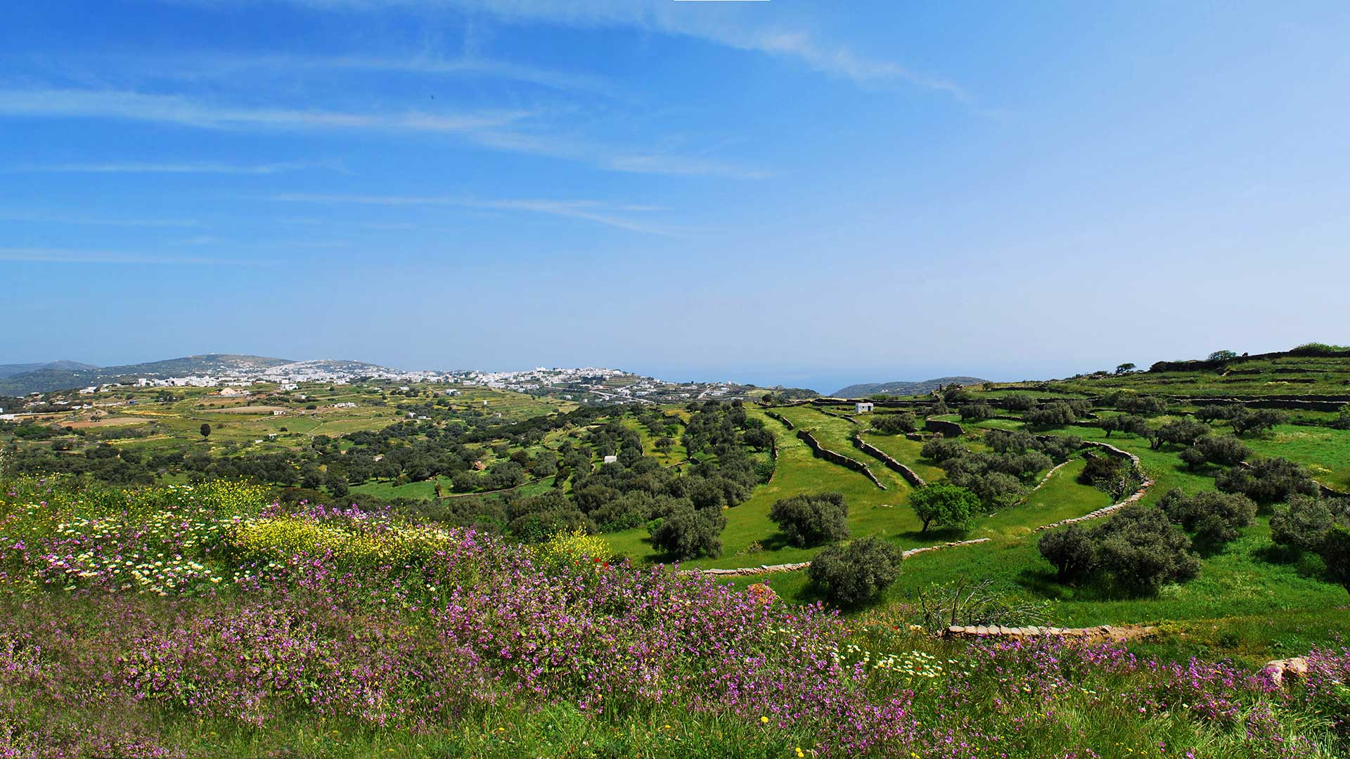 you are here - sifnos